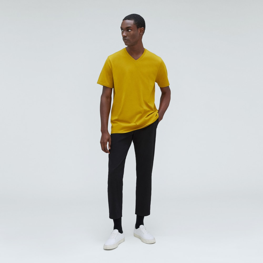 mens-organic-cotton-v-neck-tee-golden-palm