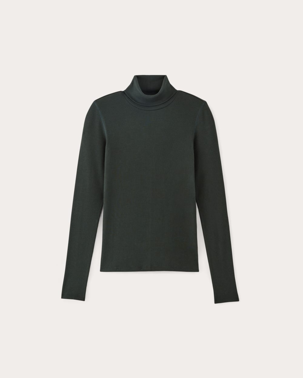 womens-supima-rib-turtleneck-scrab | alt
